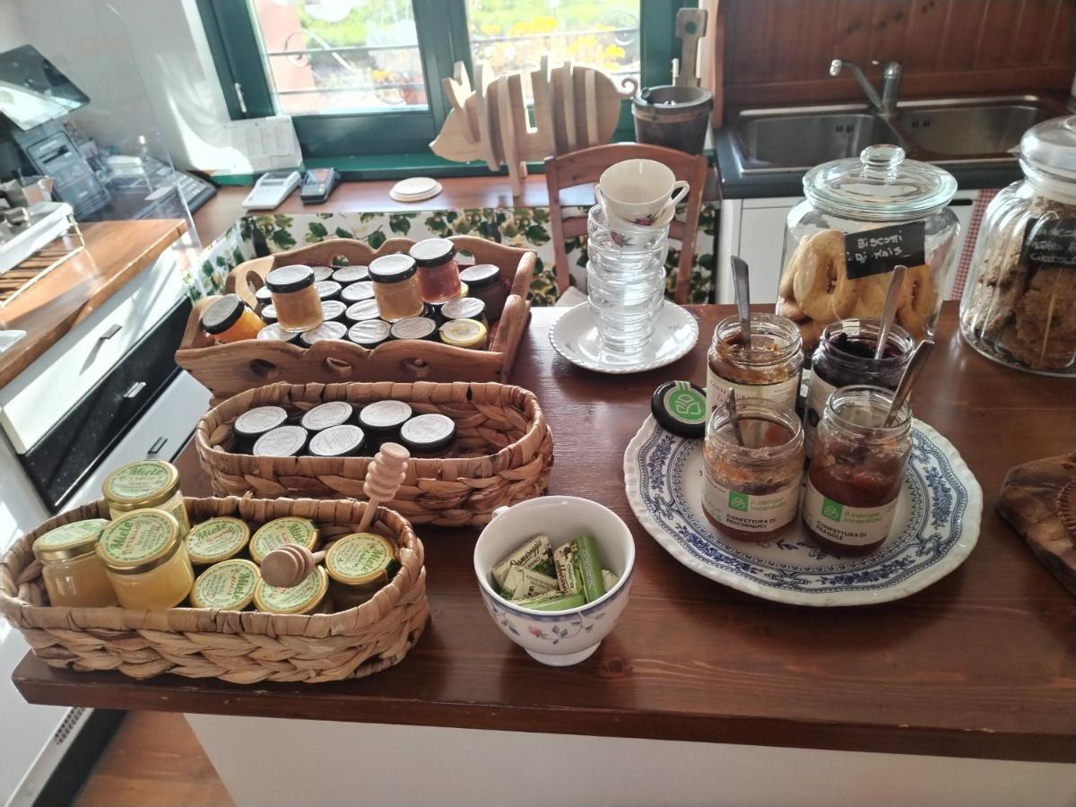 Agriturismo Le Oche Selvatiche Lauzacco 外观 照片