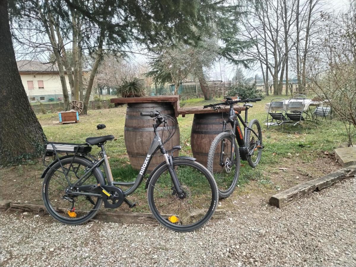 Agriturismo Le Oche Selvatiche Lauzacco 外观 照片