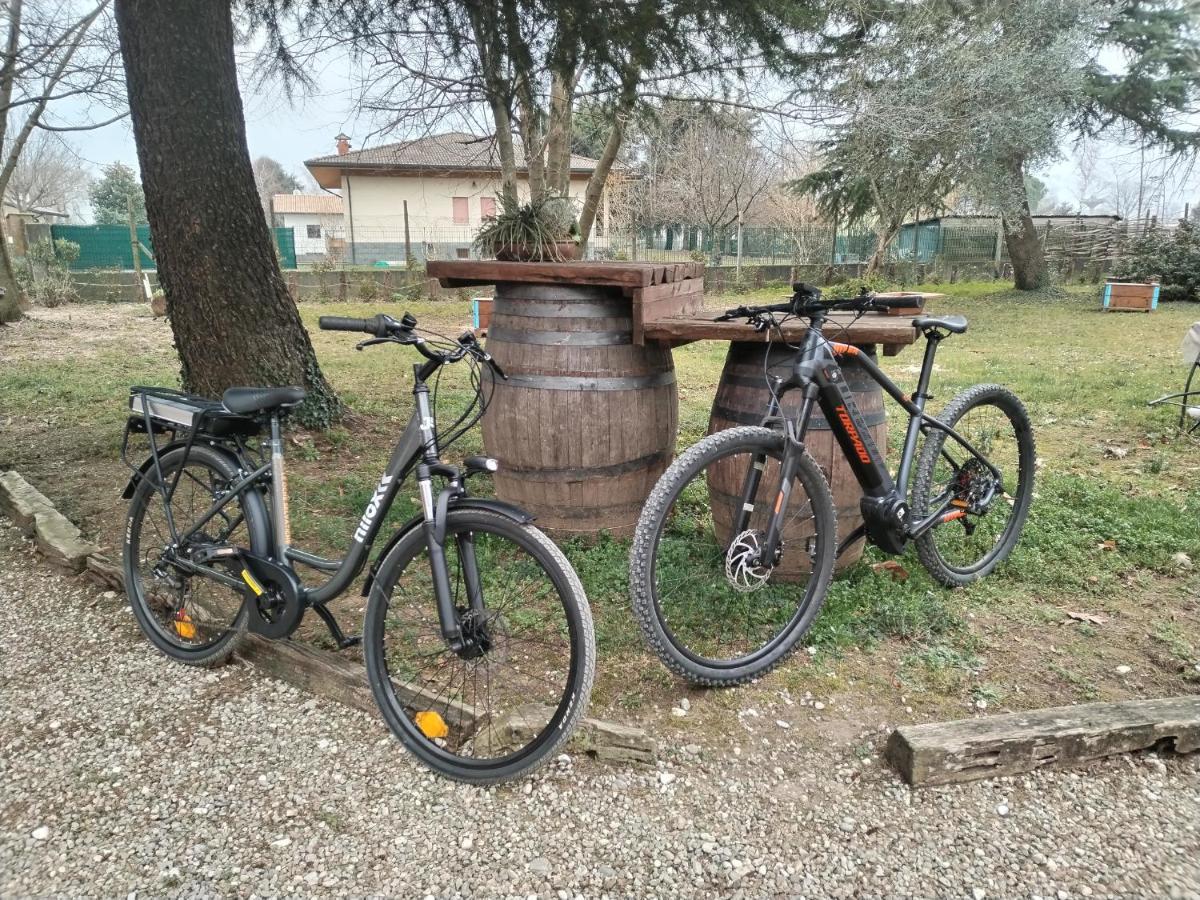 Agriturismo Le Oche Selvatiche Lauzacco 外观 照片