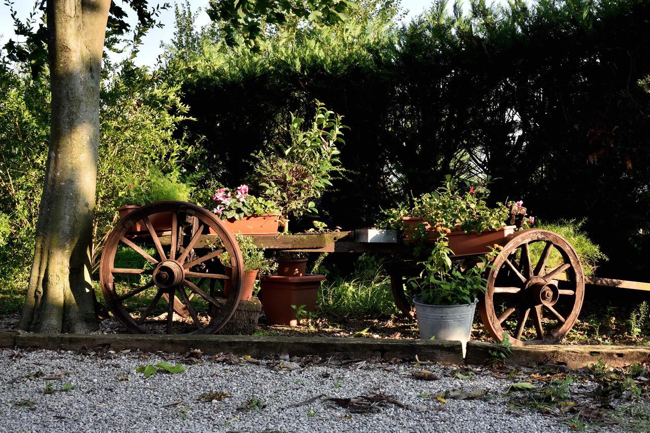 Agriturismo Le Oche Selvatiche Lauzacco 外观 照片