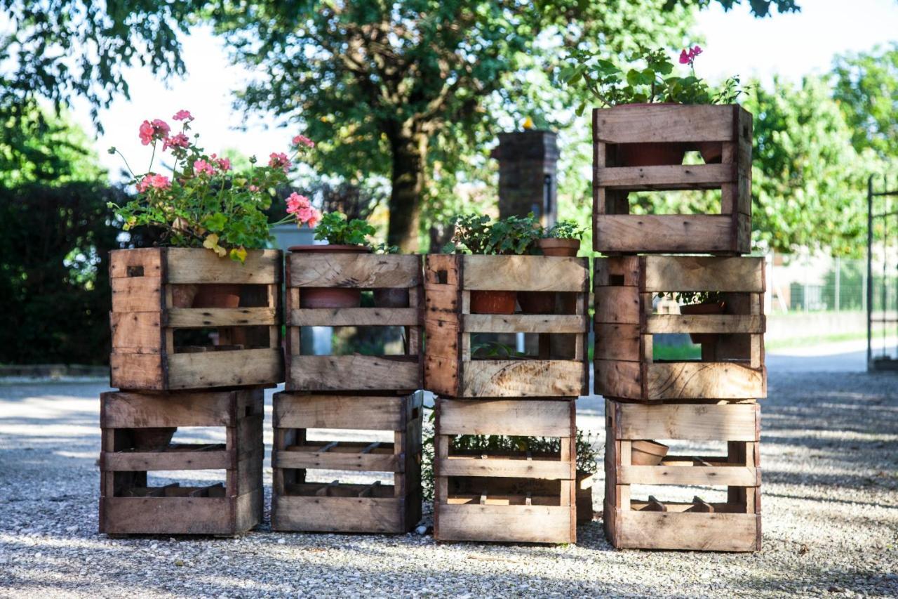 Agriturismo Le Oche Selvatiche Lauzacco 外观 照片