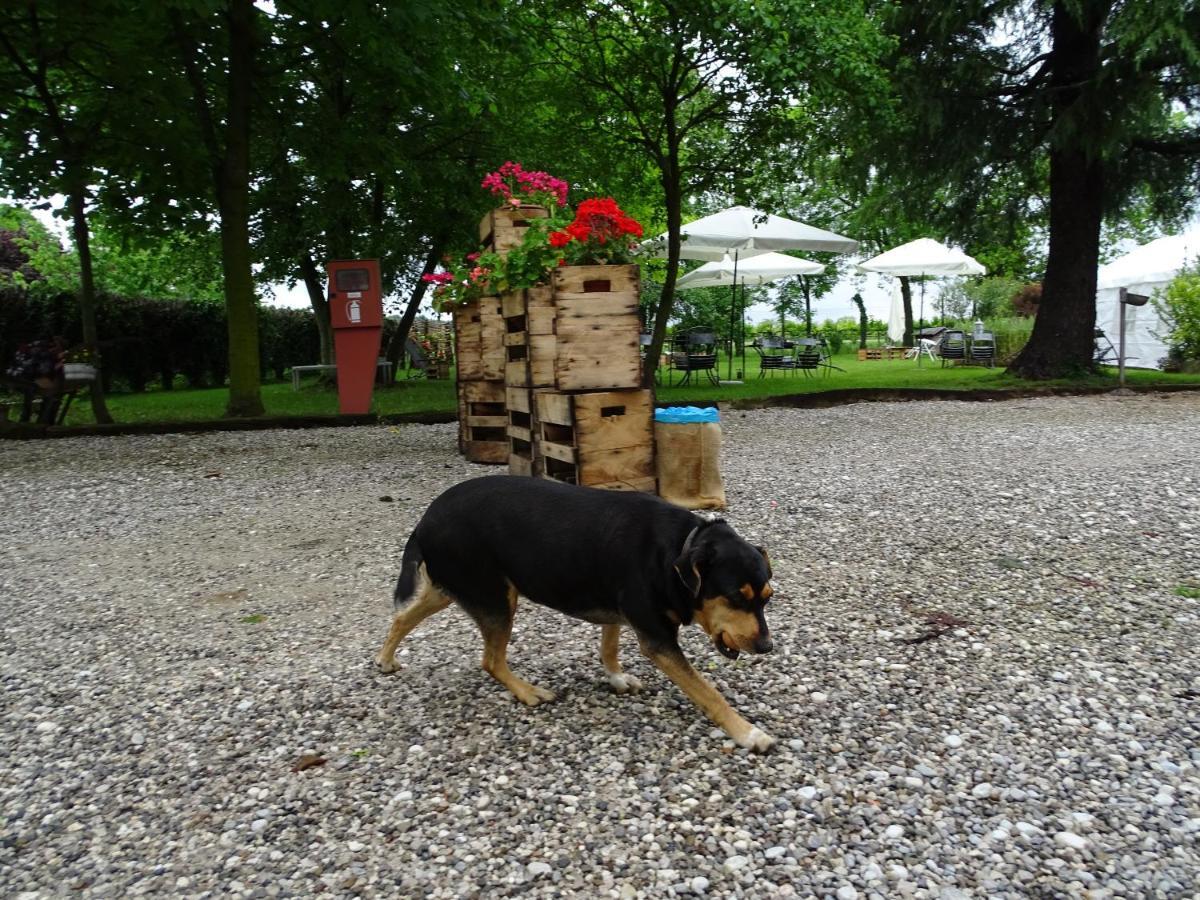 Agriturismo Le Oche Selvatiche Lauzacco 外观 照片